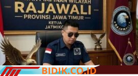 Oplus_16908288