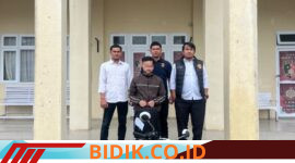 Oplus_16908288