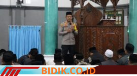 Oplus_16908288