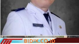 Oplus_16908288